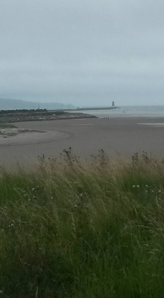 13895530_10154709660286874_2915316356342769730_n