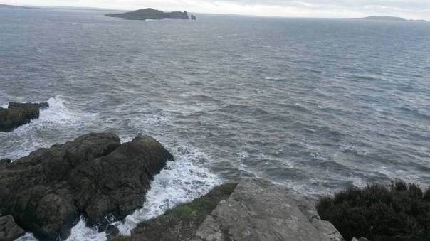 15823373_10155235929736874_2696849058825402282_n