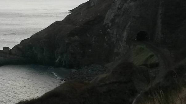 15977100_10155282683676874_7492419048228568762_n