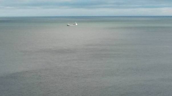 15977184_10155282685831874_5178346151394782373_n