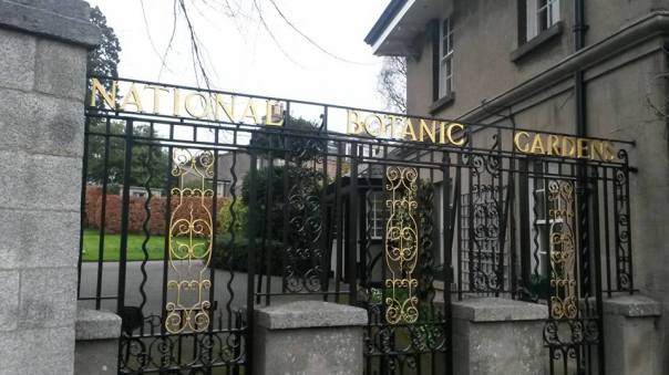 16649113_10155404350906874_5069913517717213076_n