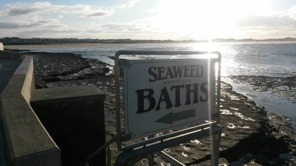 16684383_10155376350641874_1025936623980657404_n